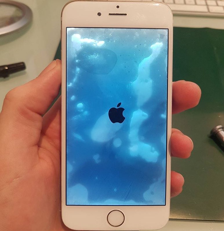 iPhone 6s - вода попала под подсветку дисплейного модуля